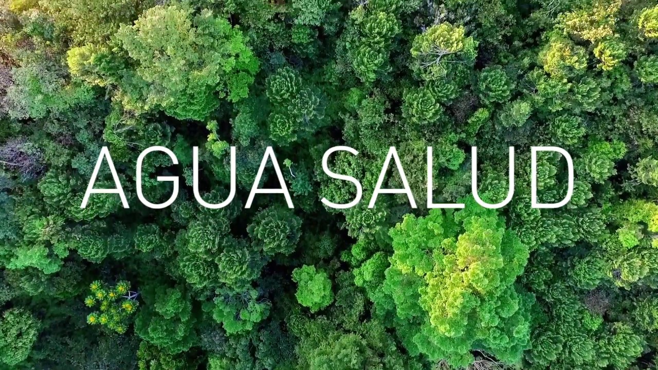 Agua Salud - Too much water