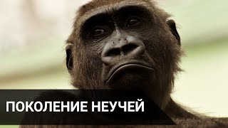 ПОКОЛЕНИЕ НЕУЧЕЙ