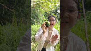 Download lagu Our discoveries in the abandoned garden and further into the #anakkalimantan mp3