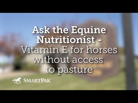 Ask the Equine Nutritionist - Vitamin E for horses without access to pasture