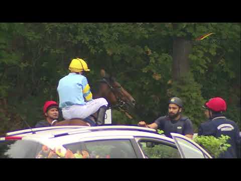 Galopprennbahn Dresden02.09.2018 - Rennen 2