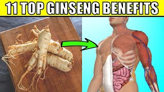 11 AMAZING Ginseng Health Benefits and Uses | How You Can Add Ginseng To Your Diet