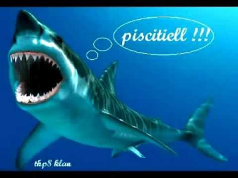 Centro Storico - piscitiell (2004)