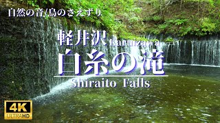 【白糸の滝｜軽井沢】岩肌から流れ落ちる美しい滝／滝の音／鳥のさえずり／自然の音