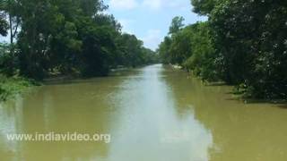 Kuvai river near Shantiniketan