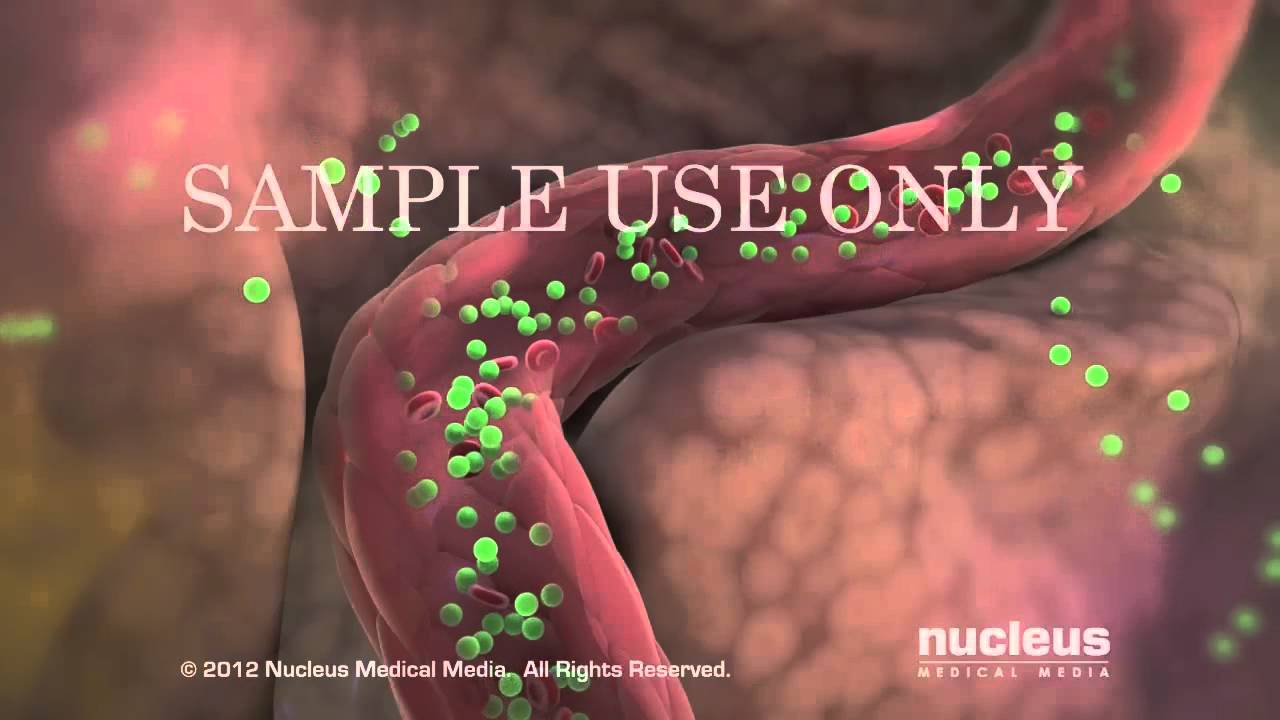 Yazmin Miranda Aguilar-10