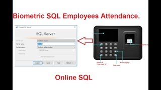 Biometric SQL Server Setup Step By Step