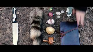 OUTER SCORPION SQUADRON