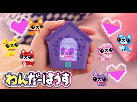 【わんだーはうす】クリアディスプレイでわんこをお世話♪ミニゲームや通信も！