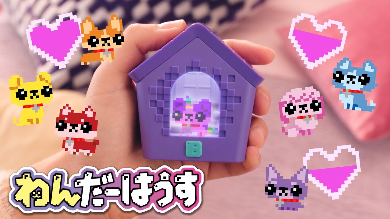 【わんだーはうす】クリアディスプレイでわんこをお世話♪