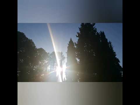 FUNΞRΔL ‡ FLØWΞRS - YΛ ZΛ TΞBYΔ