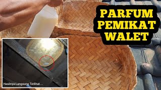 Download lagu Full Cara Membuat Parfum Pemikat BURUNG WALET - Sukses Usaha Walet mp3
