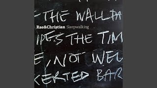 Hold Us Down (feat. The Congos)