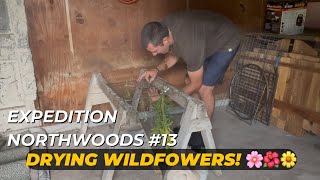 Expedition Northwoods #13 - DRYING WILDFLOWERS 🌸🌼