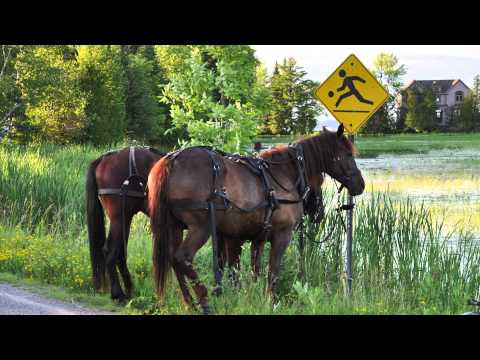 A Mad World, My Masters.  Spoon