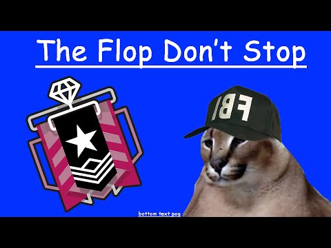 The Flop Don't Stop