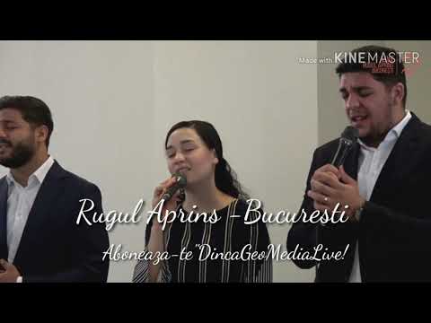 Allana & Rugul Aprins Bucuresti  - Vreau sa ma apropi de tine.