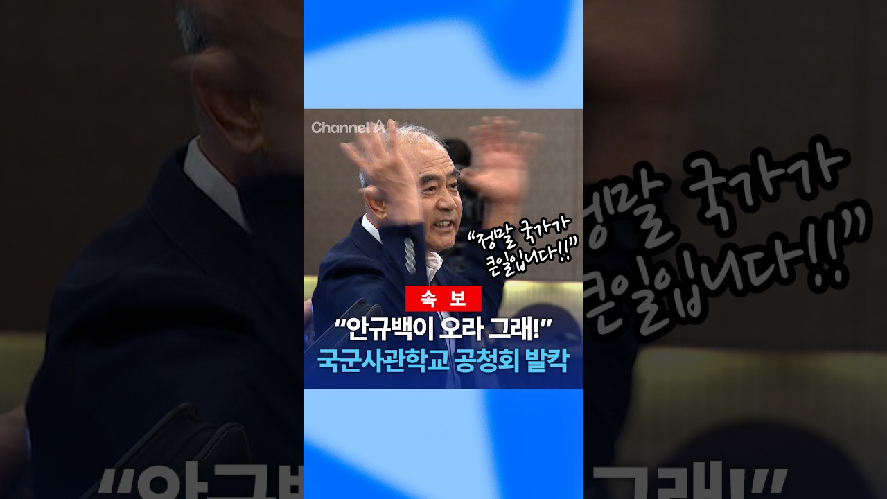 국군사관학교 공청회 쟁점과 의미