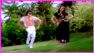 Download lagu Chiranjeevi, Radha Evergreen Love Song - Adavi Donga Movie Songs | Telugu Video Songs HD mp3 Download lagu Chiranjeevi, Radha Evergreen Love Song - Adavi Donga Movie Songs | Telugu Video Songs HD mp3
