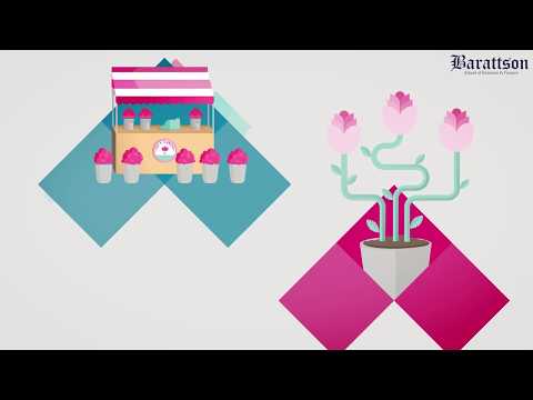 CIMA Certificate in Business Accounting   2017 syllabus