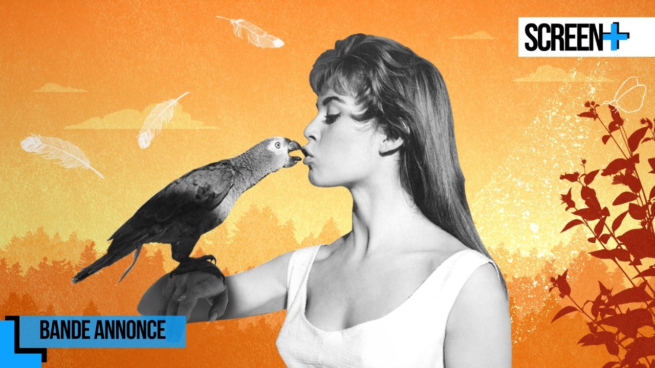 Miniature de la vidéo Brigitte Bardot, le serment fait aux animaux sur Public Sénat du film Brigitte Bardot, le serment fait aux animaux
