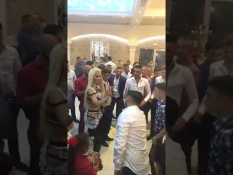 NICOLAE GUTA & CRISTINA PUCEAN - NEBUNIE MARE , DANS CRIMINAL . SISTEM 2017