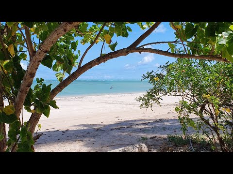São Miguel Dos Milagres Praia Do Patacho E Travessia Da Balsa Para Rota Ecológica Dos Milagres