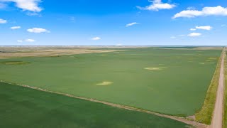 33 Quarter Mixed Farm  Sceptre, Lemsford & Lancer, SK Area RM of Clinworth 230