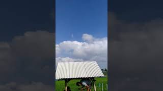 Download lagu Sarapan Pagi Lebih Ruwet Di Sawah mp3