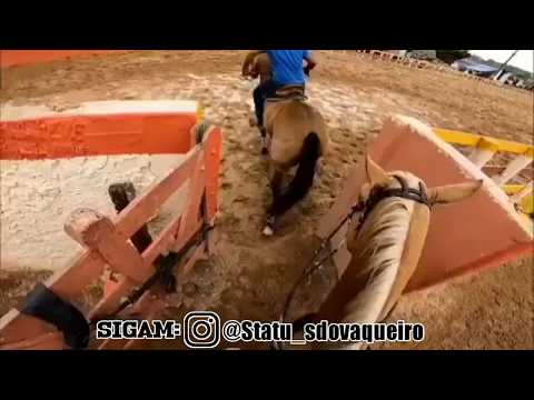 Eu Apoio a Vaquejada🤠🌾 - (Statu_sdovaqueiro)