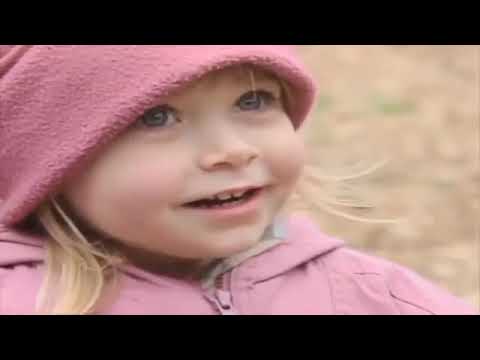 Teletubbies: Walking in the Woods