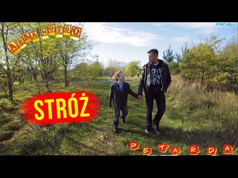 ARKA NOEGO - STRÓŻ