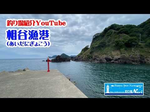 [Aitani Fishing Port] Fishing Guide 2026 Latest Information | Explanation of the Differences Betw...
