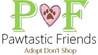 Pawtastic Friends - Enrichment Training: Your Donations at Work!
