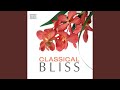 Cello Concerto No. 2 in A Major: II. Romance: Andantino