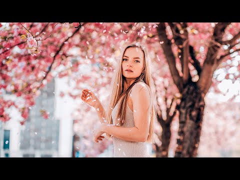 Lost Someone - Cacti | Pop Music