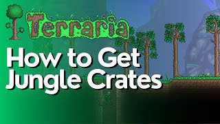 How to Get Jungle Crates in Terraria