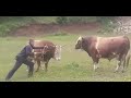 Peran Almin Karić I Brizan Nidham Karalić