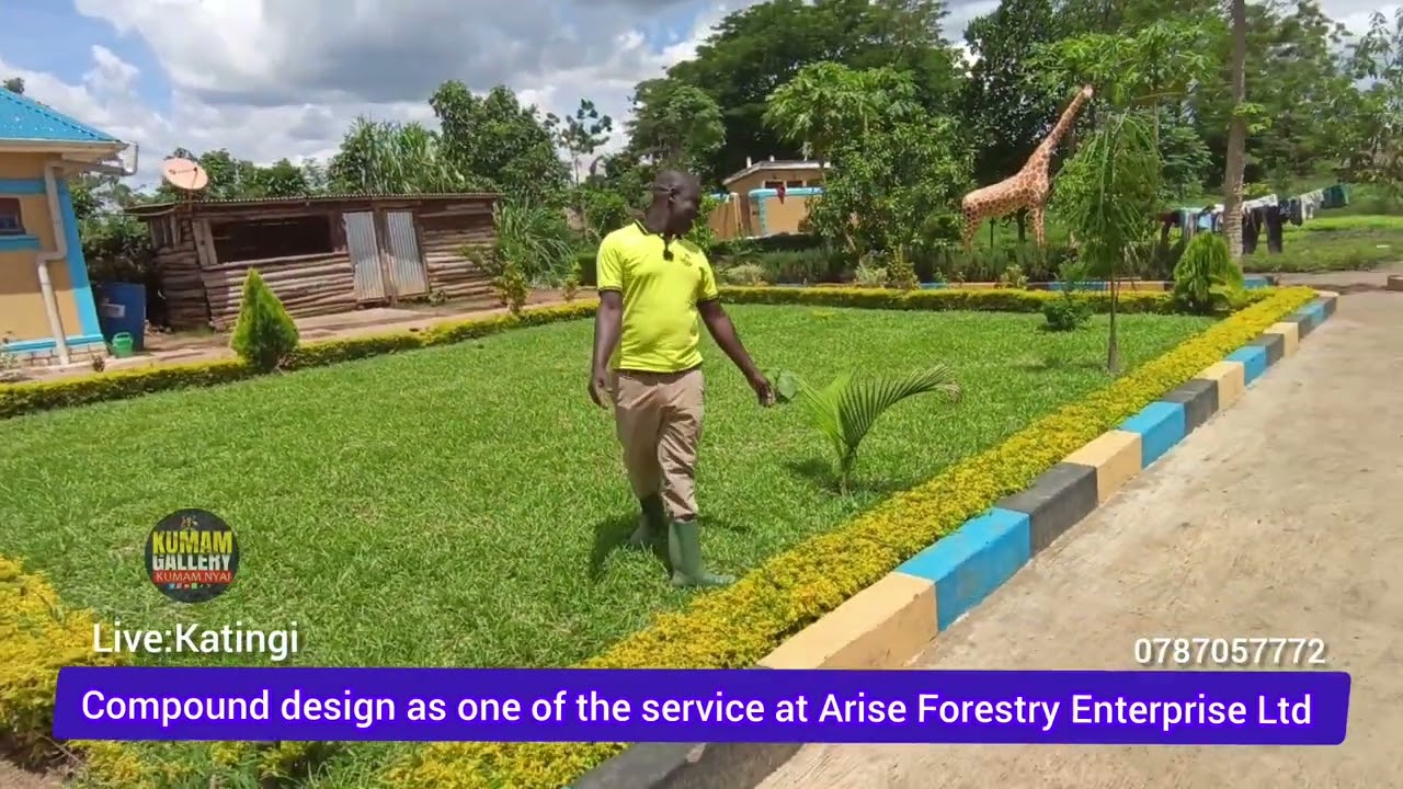 Compound design at Arise forestry Enterprise LTD as one of their services.