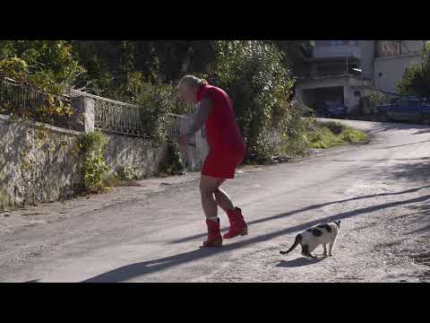 Mr. Dimitris and Mrs. Dimitroula trailer