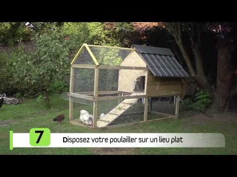 download lagu mp3 mp4 Poulailler Pour 4 Poules, download lagu Poulailler Pour 4 Poules gratis, unduh video klip Poulailler Pour 4 Poules
