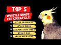 Top 5 Cockatiel Whistle Training Songs, Parrot Training and Singing
