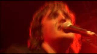 Starsailor: In my blood (Live)
