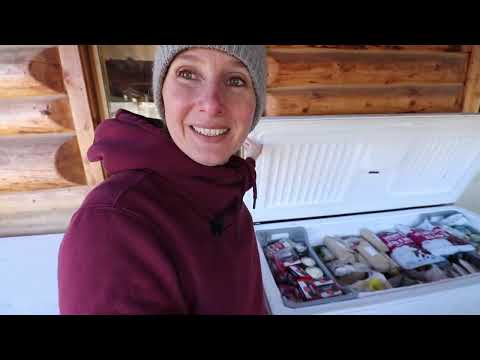 I Can't Believe I'm Showing You This! | HUGE Freezer Organization | Elderberry Syrup