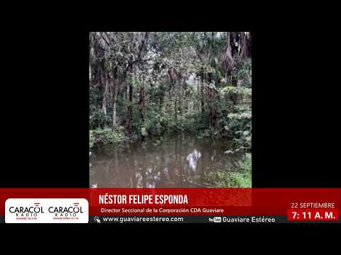 Humedal de San José del Guaviare: CDA anuncia controles por basura