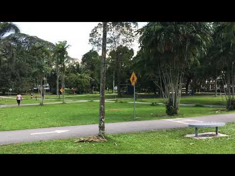 Passeio no Parque D.R Seenivasagam