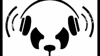 White Panda [Edward Maya vs. Roscoe Dash, Waka Flaka Flame, & Wale] -- Stereo Hands