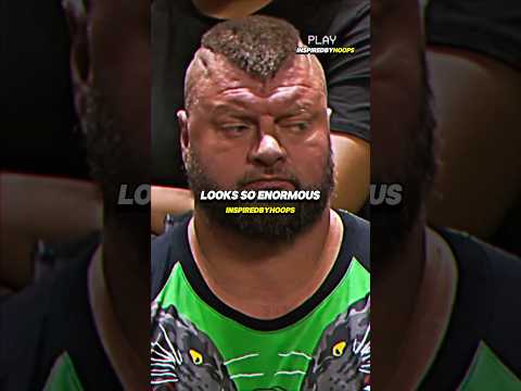 Morris Twins Vs The Jokic Brothers 😤🔥 #shorts #nba