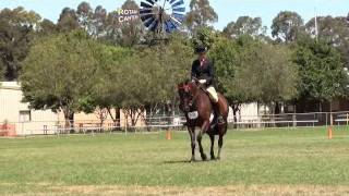 preview picture of video 'Balledor Encore NSW SHC HOTY 2011'