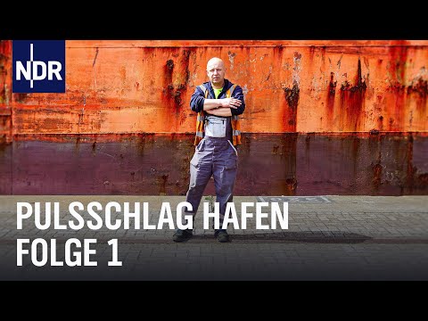 Wenn die großen Pötte kommen | Pulsschlag Hafen | Die Nordreportage | NDR Doku